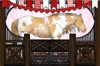Horse Color:White Spotted Bay Pearl