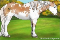 Horse Color:White Spotted Silver Brown Splash 