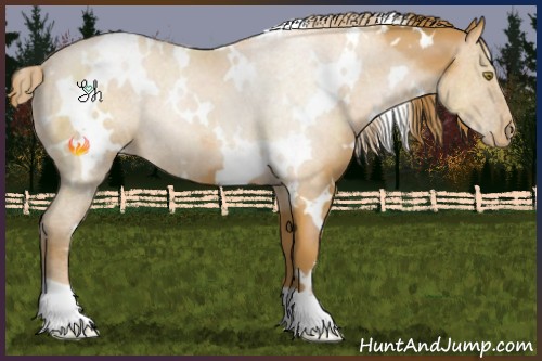Horse Color:White Spotted Bay Pearl 