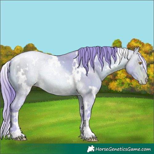 Horse Color:Watercolor White Spotted Bay Pearl 