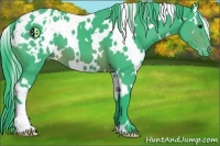Horse Color:Watercolor White Spotted Brown Appaloosa