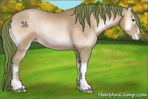 Horse Color:Watercolor Bay Pearl Onyx 