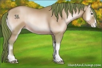 Horse Color:Watercolor Bay Pearl Onyx 