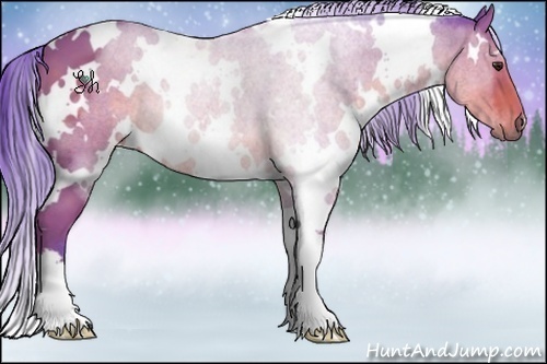 Horse Color:Watercolor White Spotted Bay 