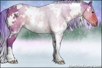Horse Color:Watercolor White Spotted Bay 
