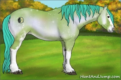 Horse Color:Watercolor White Spotted Bay Onyx