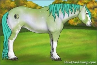 Horse Color:Watercolor White Spotted Bay Onyx 