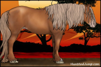 Horse Color:Gray Gold Champagne