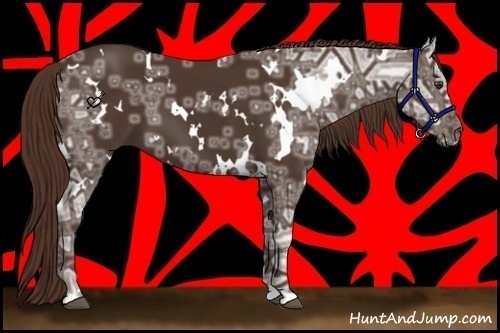 Horse Color:White Spotted Liver Chestnut Ice 