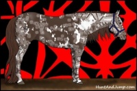 Horse Color:White Spotted Liver Chestnut Ice 