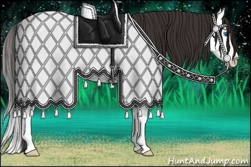 Horse Color:Bay Dun Splash Varnish Rabicano 