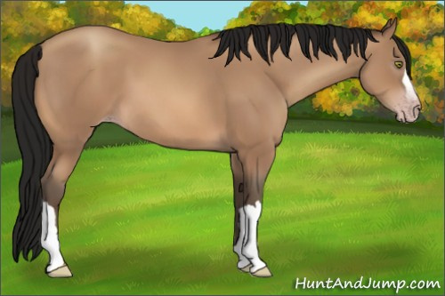 Horse Color:Gray Amber Champagne 