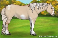 Horse Color:Silver Bay Dun Sabino Tobiano Frame Rabicano