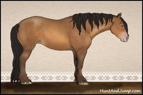 Horse Color:Gray Amber Champagne Rabicano