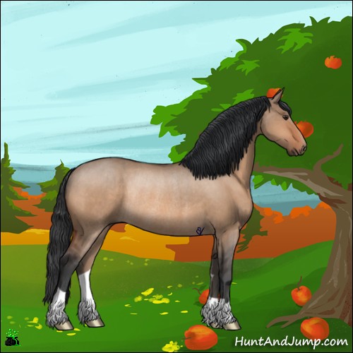 Horse Color:Brown Dun Rabicano 