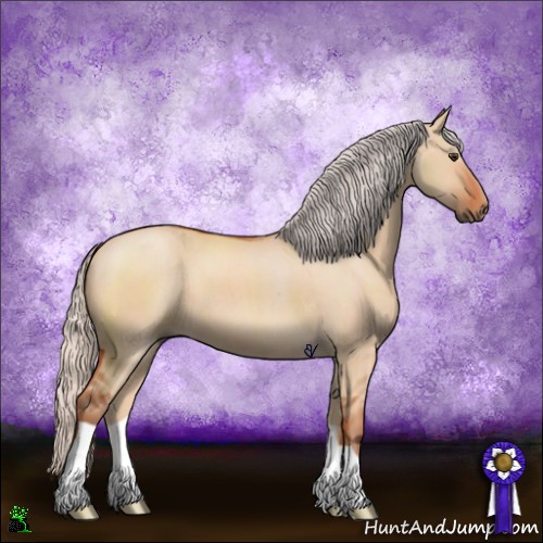 Horse Color:Silver Brown Dun