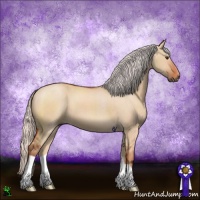 Horse Color:Silver Brown Dun
