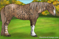 Horse Color:Gray Chocolate Palomino  and Gray Chocolate Palomino Pearl 
