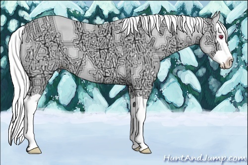 Horse Color:Gold Champagne Chinchilla Ice Splash
