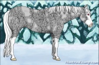 Horse Color:Gold Champagne Chinchilla Ice Splash 