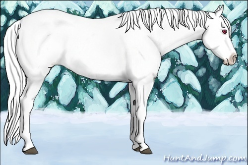 Horse Color:Liver Chestnut Chinchilla Ice Splash 