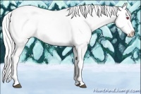 Horse Color:Liver Chestnut Chinchilla Ice Splash 