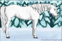 Horse Color:Liver Chestnut Chinchilla Ice Splash 