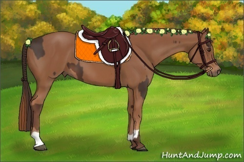Horse Color:Liver Chestnut  and Chestnut 