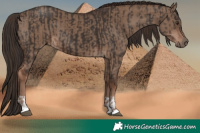 Horse Color:Liver Chestnut  and Liver Red Dun 