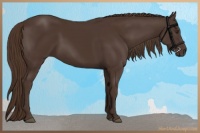Horse Color:Liver Chestnut  and Liver Chestnut 