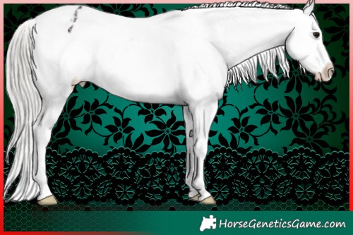 Horse Color:White Spotted Silver Brown Snowflake Varnish 