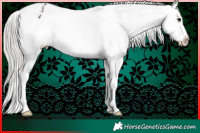 Horse Color:White Spotted Silver Brown Appaloosa 