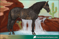 Horse Color:Buckskin  and Liver Chestnut Rabicano 