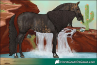 Horse Color:Buckskin  and Liver Chestnut Rabicano 