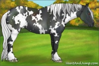 Horse Color:White Spotted Silver Black Chinchilla 