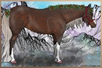 Horse Color:Silver Brown 