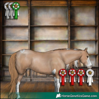 Horse Color:Black Pearl Sabino Tobiano Rabicano