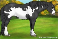 Horse Color:Black Frame 