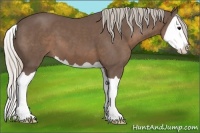 Horse Color:Silver Black Splash 