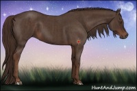 Horse Color:Liver Chestnut  and Liver Red Roan 