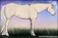 Horse Color:Cremello  and Cremello 