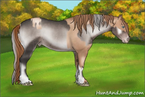 Horse Color:Gray Gold Champagne Pearl and Gray Platinum Silver Blue Onyx