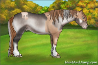 Horse Color:Gray Gold Champagne Pearl  and Gray Platinum Silver Blue Onyx 