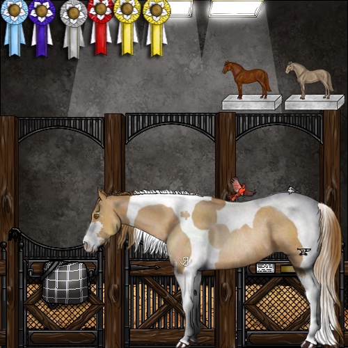 Horse Color:Brown Pearl Sabino Tobiano Rabicano