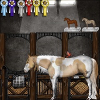 Horse Color:Brown Pearl Sabino Tobiano Rabicano