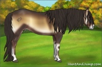 Horse Color:Liver Red Onyx