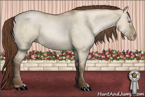 Horse Color:Gray Smoky Grullo Pearl 