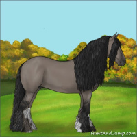 Horse Color:Gray Grullo 