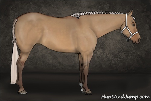 Horse Color:Silver Bay Dun 