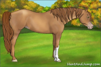 Horse Color:Gray Gold Champagne 